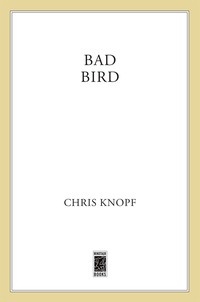 Cover image: Bad Bird 9780312551247