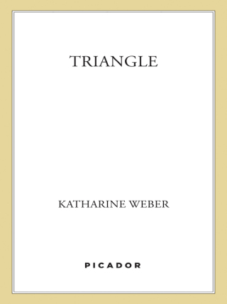 Imagen de portada: Triangle 9780374281427