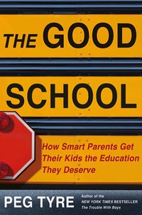 Cover image: The Good School 9781250012159