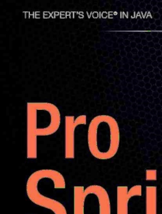 Imagen de portada: Pro Spring 9781590594612