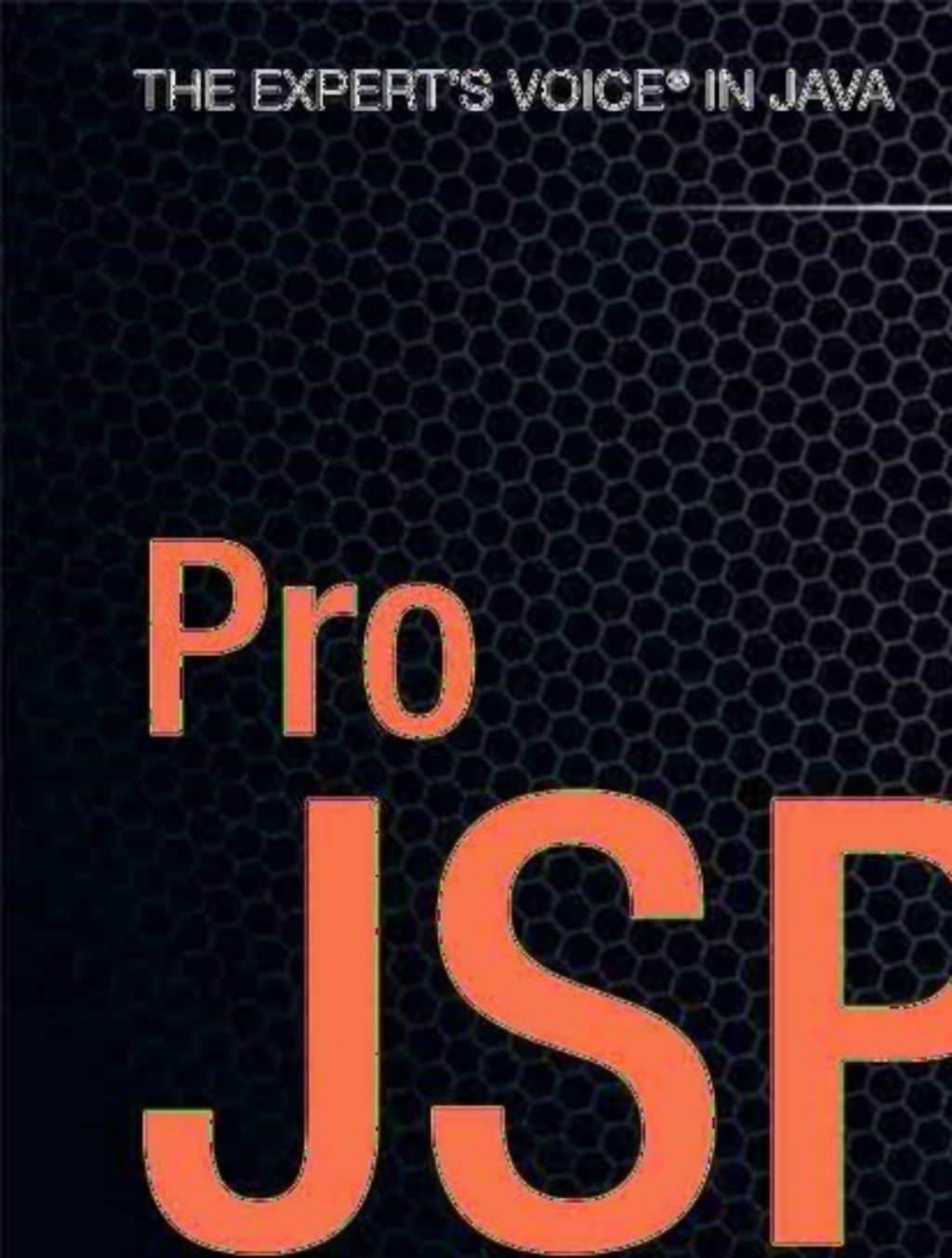 Pro JSP 2 4th Edition