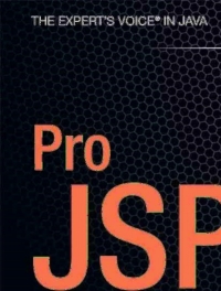 Cover image: Pro JSP 2 4th edition 9781590595138