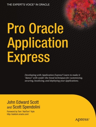 Titelbild: Pro Oracle Application Express 9781590598276