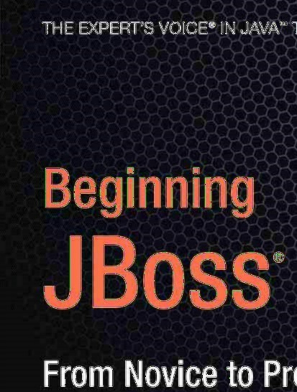Beginning JBoss Seam From Novice to Professional