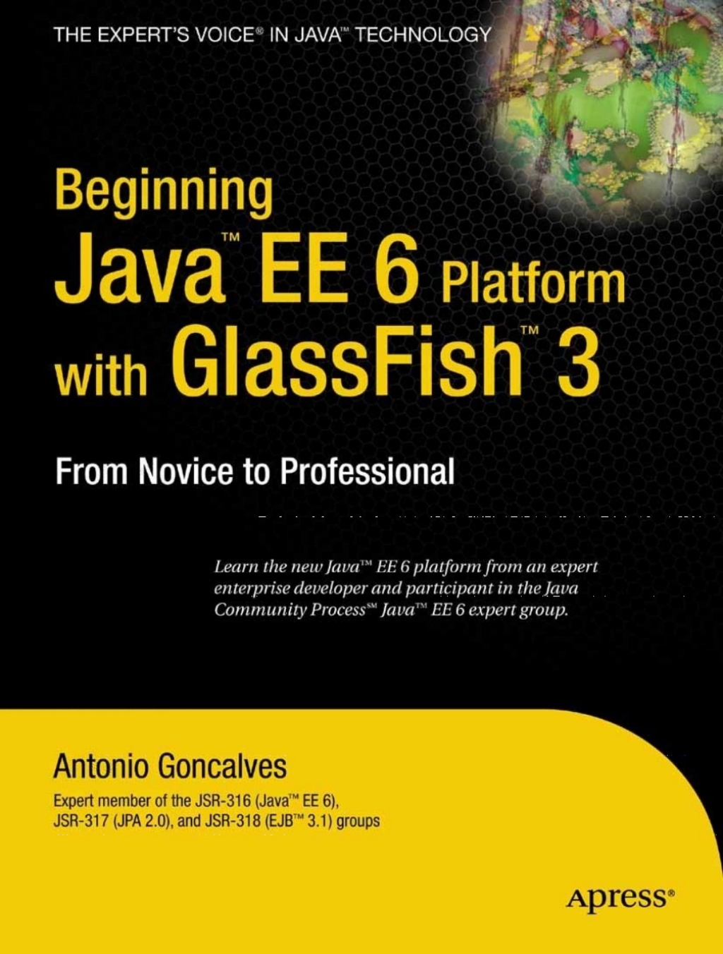 Beginning Java EE 6 Platform with GlassFish 3 From Novice to Professional