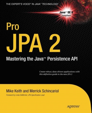 Cover image: Pro JPA 2 9781430219569