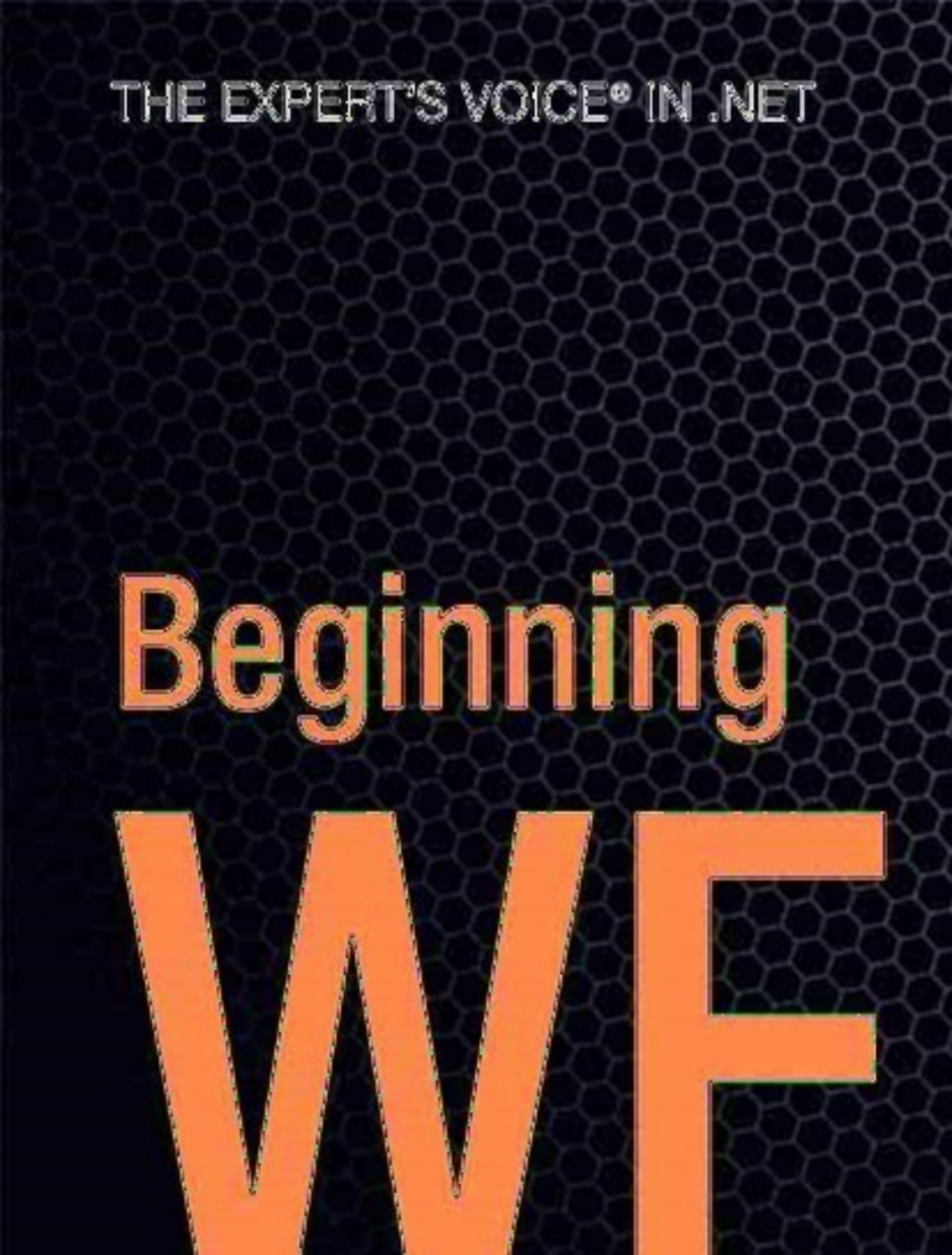 Beginning WF Windows Workflow in .NET 4.0
