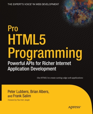 Titelbild: Pro HTML5 Programming 9781430227908