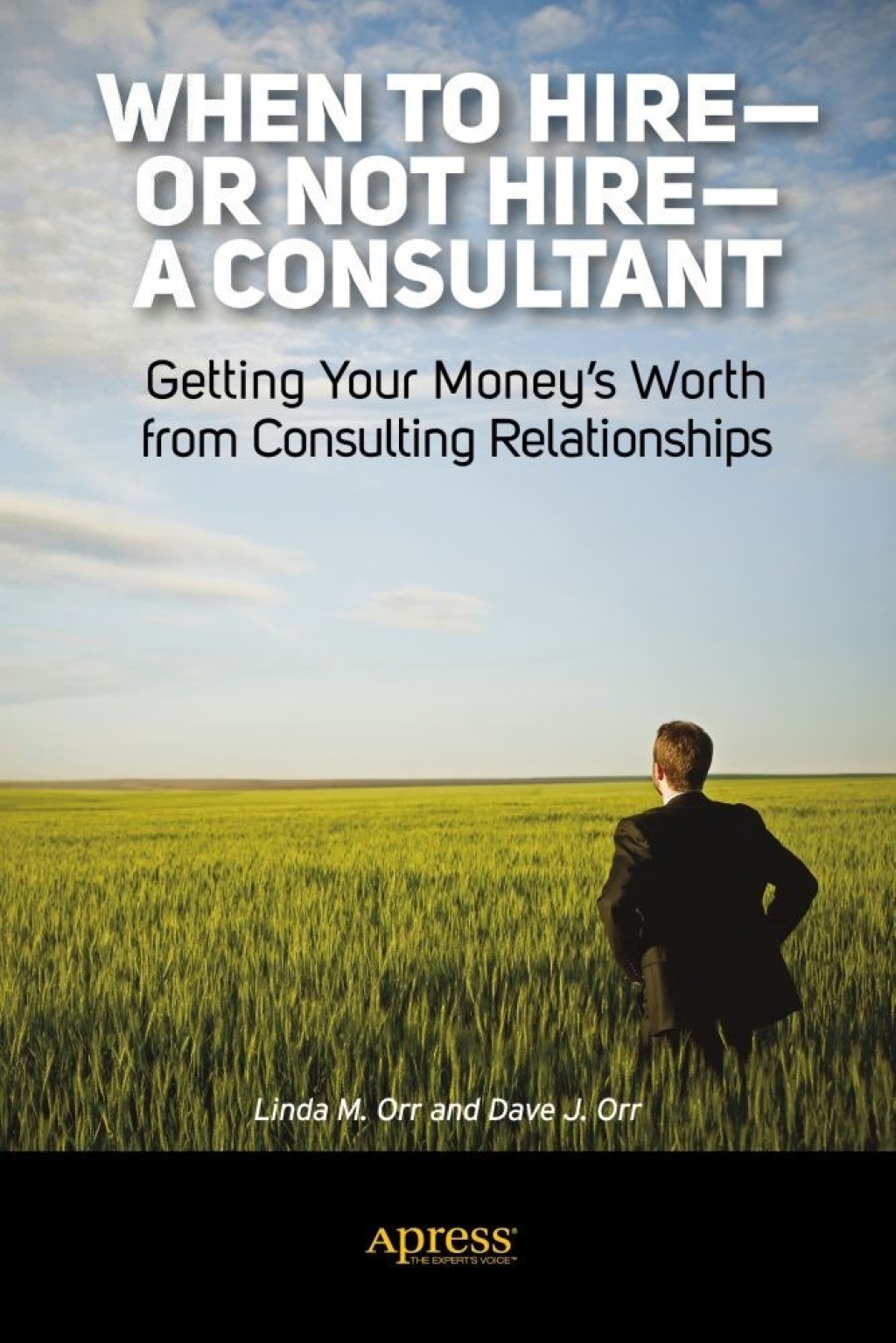 When to Hire or Not Hire a Consultant eBook Rental