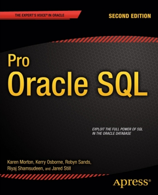 Immagine di copertina: Pro Oracle SQL 2nd edition 9781430262206