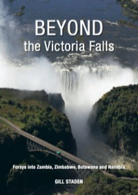 Imagen de portada: Beyond the Victoria Falls 1st edition 9781770078567