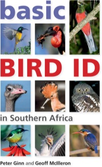 Omslagafbeelding: Basic Bird ID in Southern Africa 1st edition 9781770078628