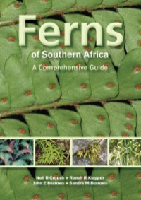 Imagen de portada: Ferns of Southern Africa: A Comprehensive Guide (PVC) 9781770079106