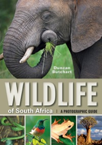 表紙画像: Wildlife of South Africa 1st edition 9781770076327