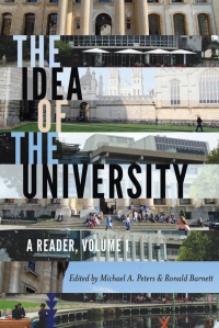 Cover image: The Idea of the University 1st edition 9781433121913