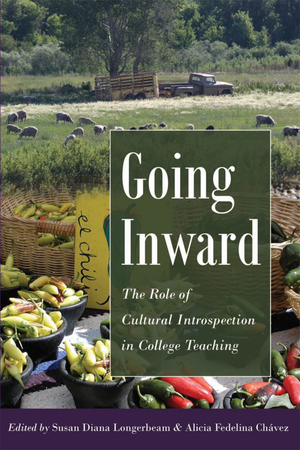 Going Inward The Role of Cultural Introspection in College Teaching 1st Edition