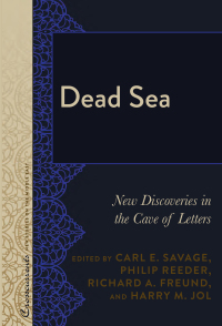 Imagen de portada: Dead Sea 1st edition 9781433134272