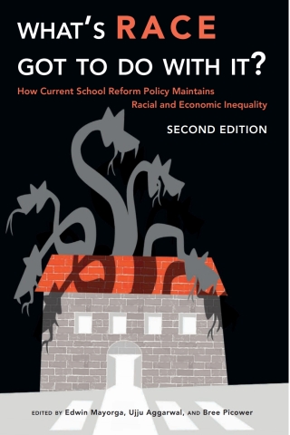 Imagen de portada: Whats Race Got To Do With It? 1st edition 9781433134968