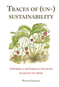 Imagen de portada: Traces of (Un-) Sustainability 1st edition 9781433176661