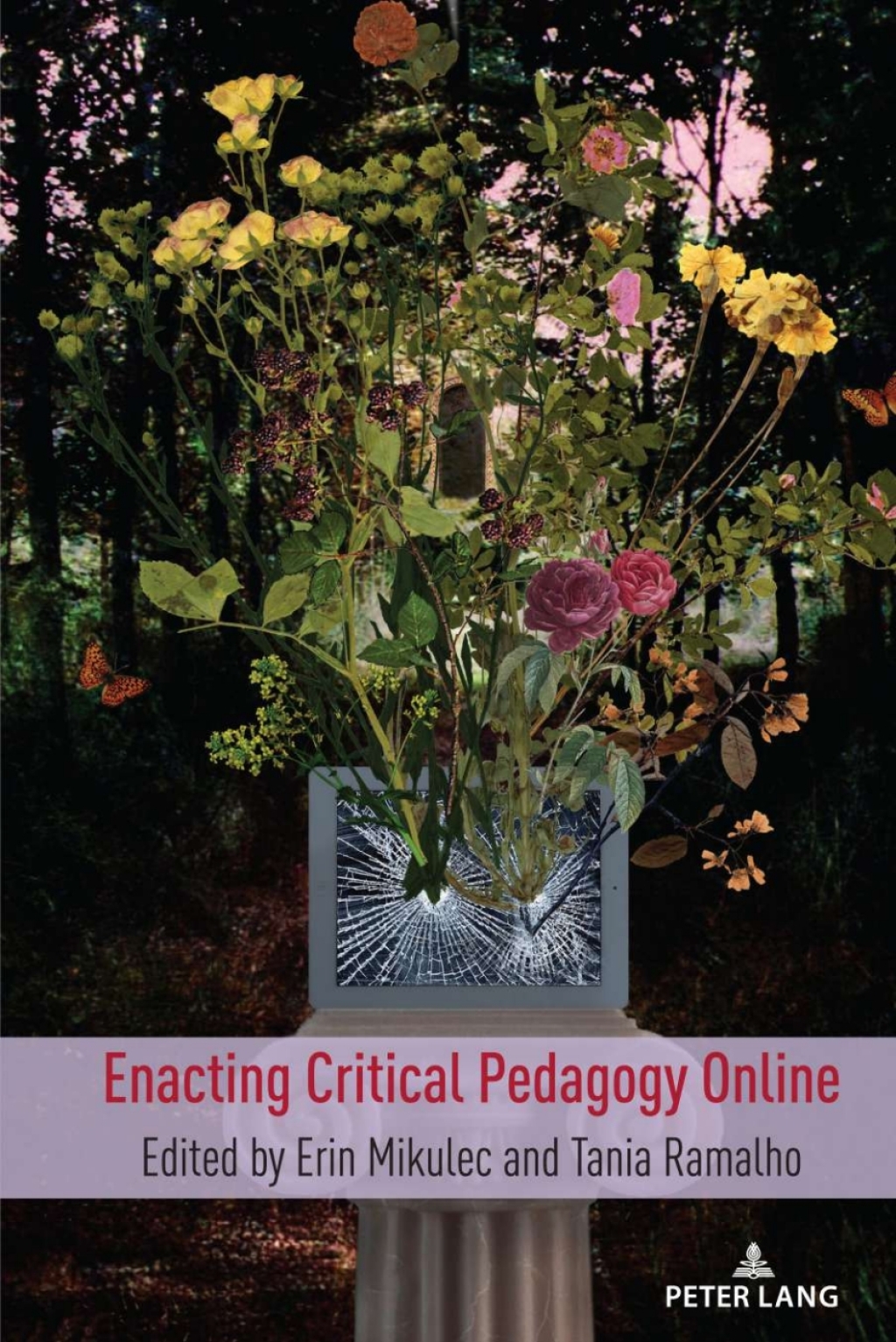 Enacting Critical Pedagogy Online 1st Edition