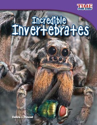Cover image: Incredible Invertebrates 2nd edition 9781433336607