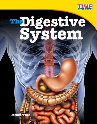 Cover image: The Digestive System 2nd edition 9781433336775