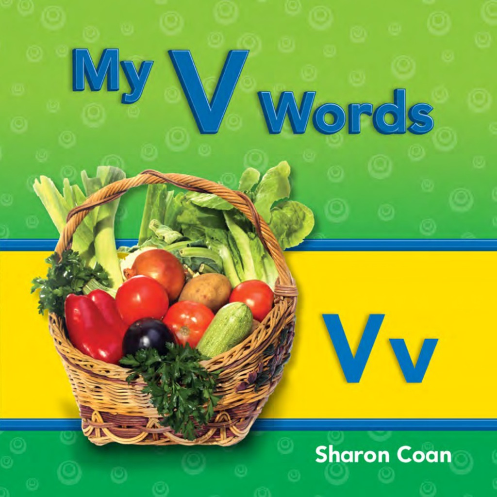 My V Words 1st Edition