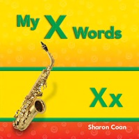 Cover image: My X Words 1st edition 9781433339714