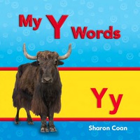 Cover image: My Y Words 1st edition 9781433339721