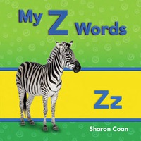 Cover image: My Z Words 1st edition 9781433339738