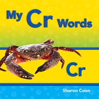 Cover image: My Cr Words 1st edition 9781433339776