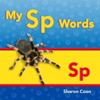 Cover image: My Sp Words 1st edition 9781433339844
