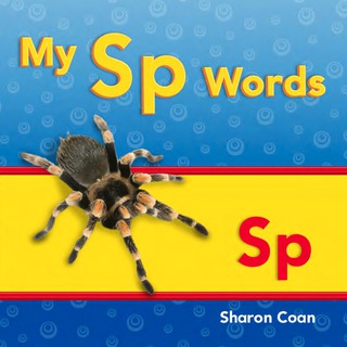 Cover image: My Sp Words 1st edition 9781433339844