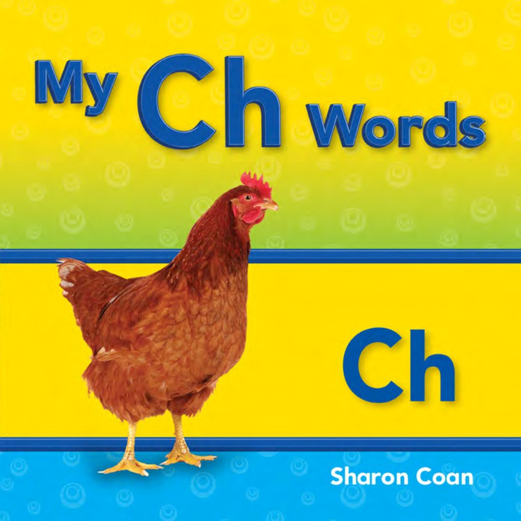 My Ch Words 1st Edition