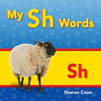 Cover image: My Sh Words 1st edition 9781433339875