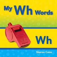 Cover image: My Wh Words 1st edition 9781433339899