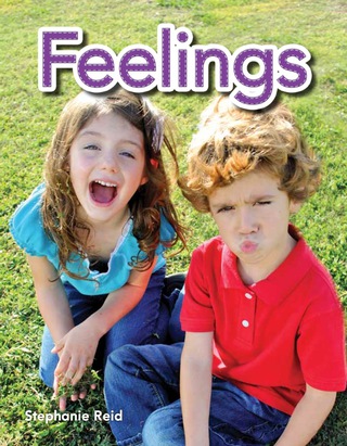 Cover image: Feelings 1st edition 9781433334788