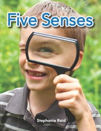 Cover image: Five Senses 1st edition 9781433335228