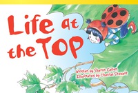 Cover image: Life at the Top 1st edition 9781433354878