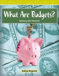 Cover image: What Are Budgets? 1st edition 9780743908771