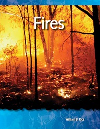 Cover image: Fires 1st edition 9781433303142