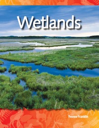 Cover image: Wetlands 1st edition 9781433303166