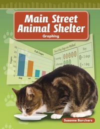 Cover image: Main Street Animal Shelter 1st edition 9781433304293