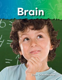 Cover image: Brain 1st edition 9781433314285