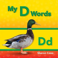 Cover image: My D Words 1st edition 9781433325489