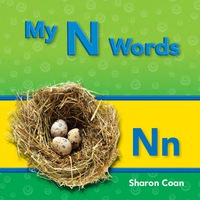 Cover image: My N Words 1st edition 9781433325564