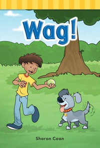 Cover image: Wag! 1st edition 9781433329258