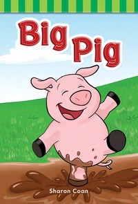 Cover image: Big Pig 1st edition 9781433329296