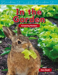 Cover image: In the Garden 1st edition 9781433334313
