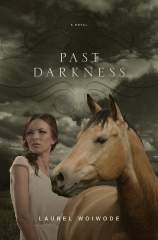 表紙画像: Past Darkness 9781433535215